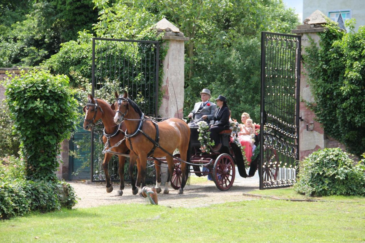 Jagdschloss Moenchbruch Hotell Mörfelden-Walldorf Exteriör bild