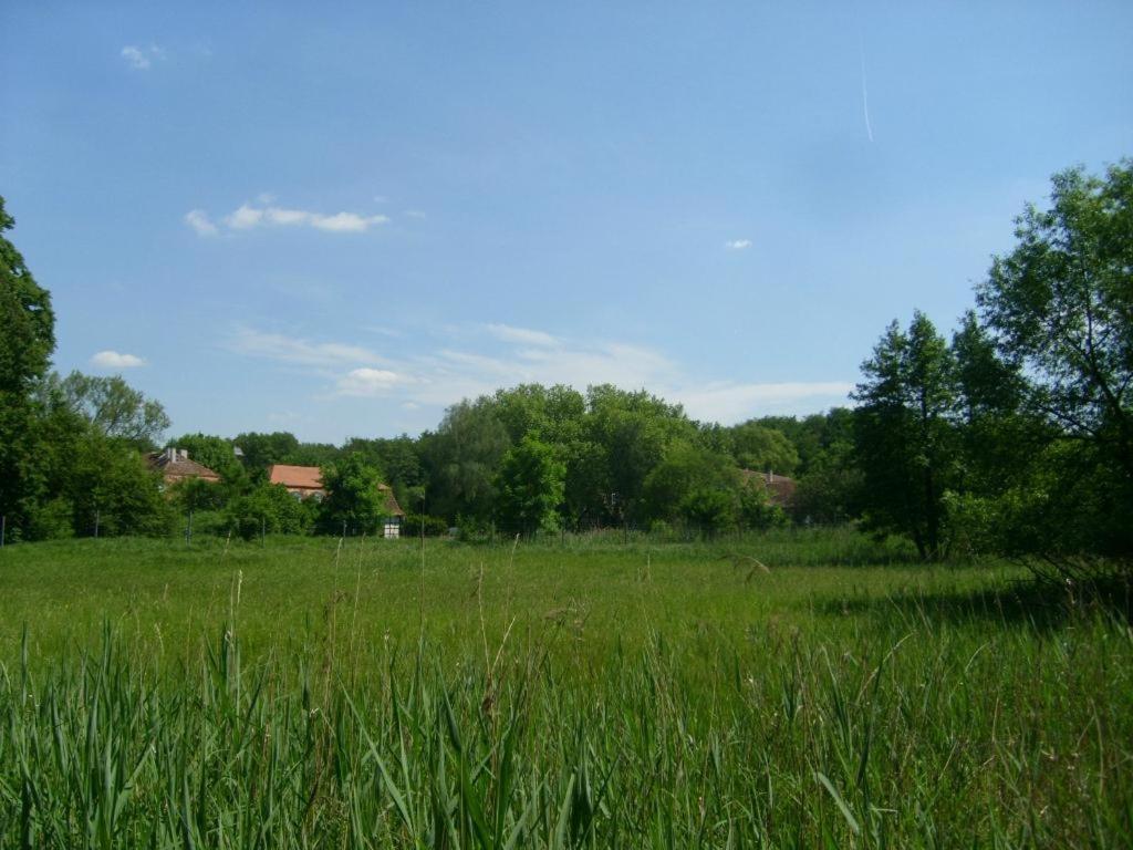 Jagdschloss Moenchbruch Hotell Mörfelden-Walldorf Exteriör bild